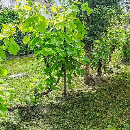 Casa vacanze Private At The Le Porge